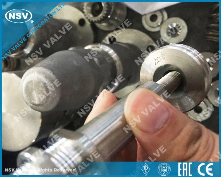 Alloy20 Safety Valve