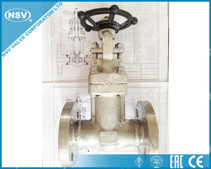 Inconel 600 Bellows Seal Gate Valve
