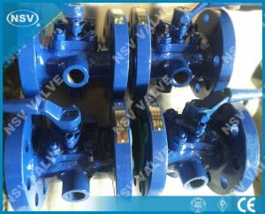 Válvula de enchufe de manga con camisa