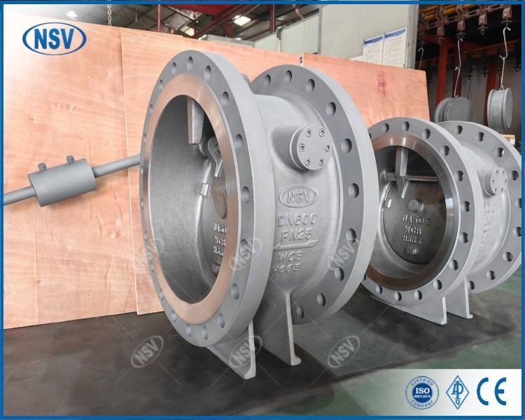 Tilting Disc Check Valve With Counterweight best